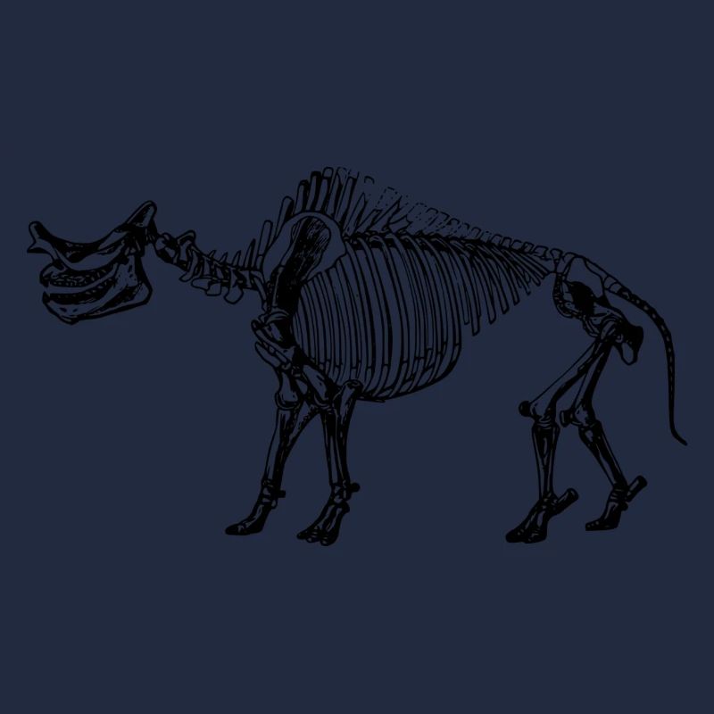 Dinosaurier Skelett