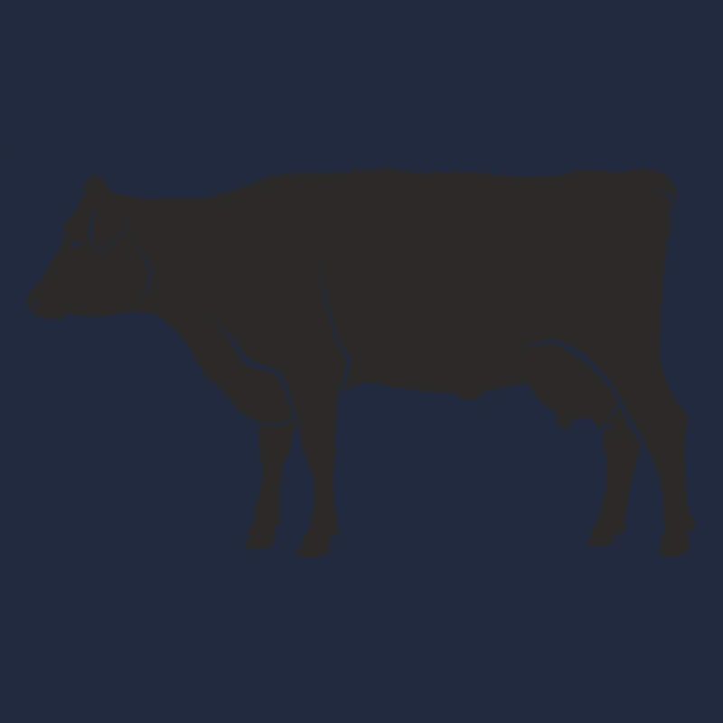 cow108
