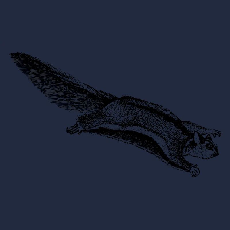 Gleithörnchen