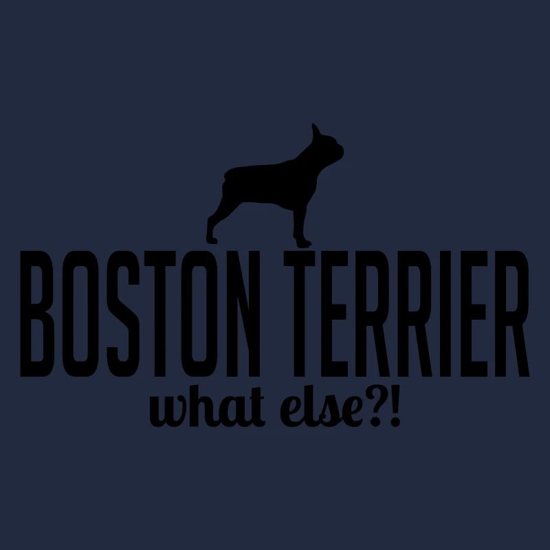 BOSTON TERRIER what else