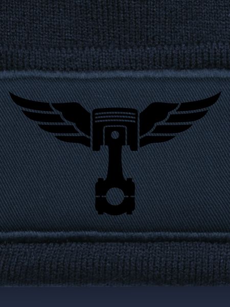 piston et ailes