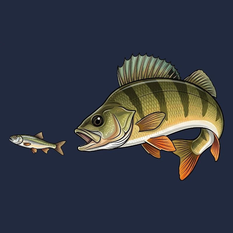 Barsch jagt Fisch
