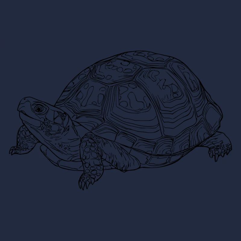 Schildkröte