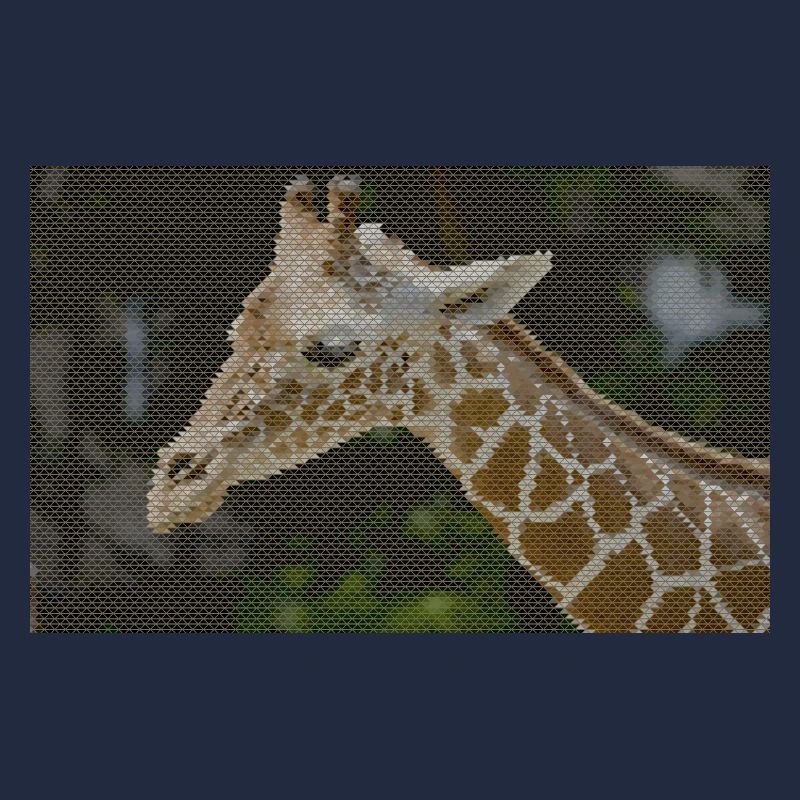 Giraffe with triangle pattern
