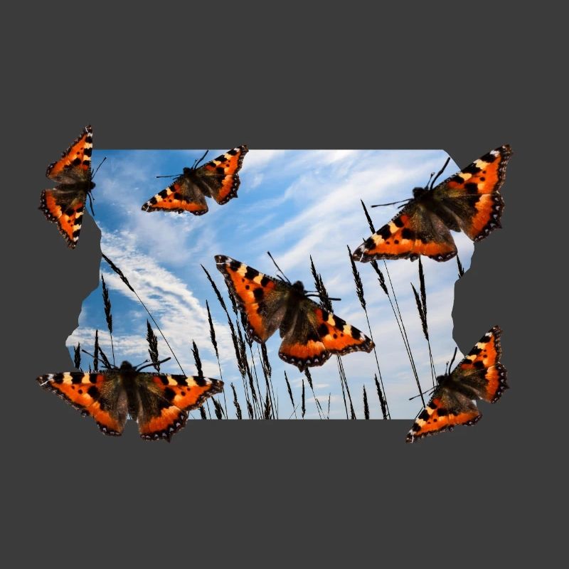 PAPILLON