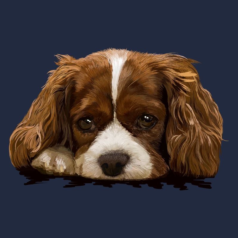 Spaniel
