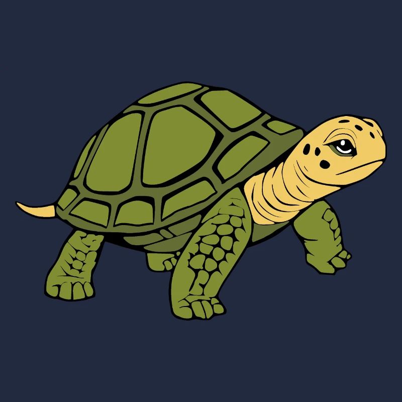 Schildkröten Schildkröten