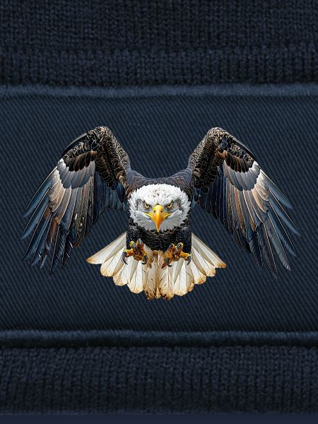 Weißkopfseeadler Bald Eagle