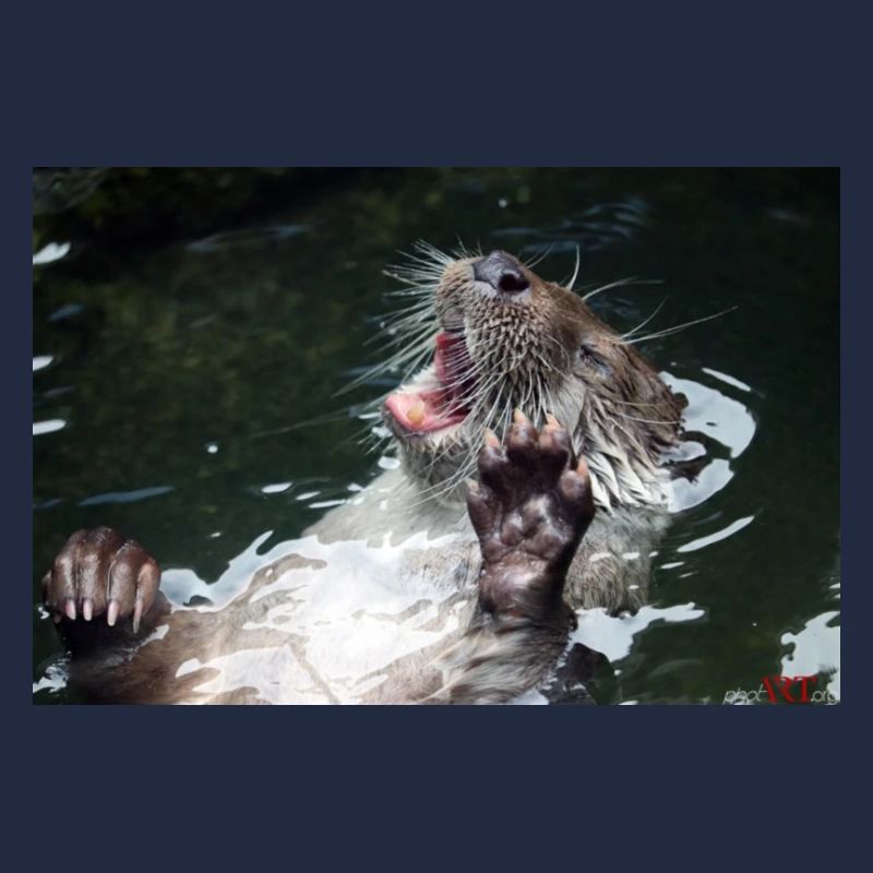 Otter