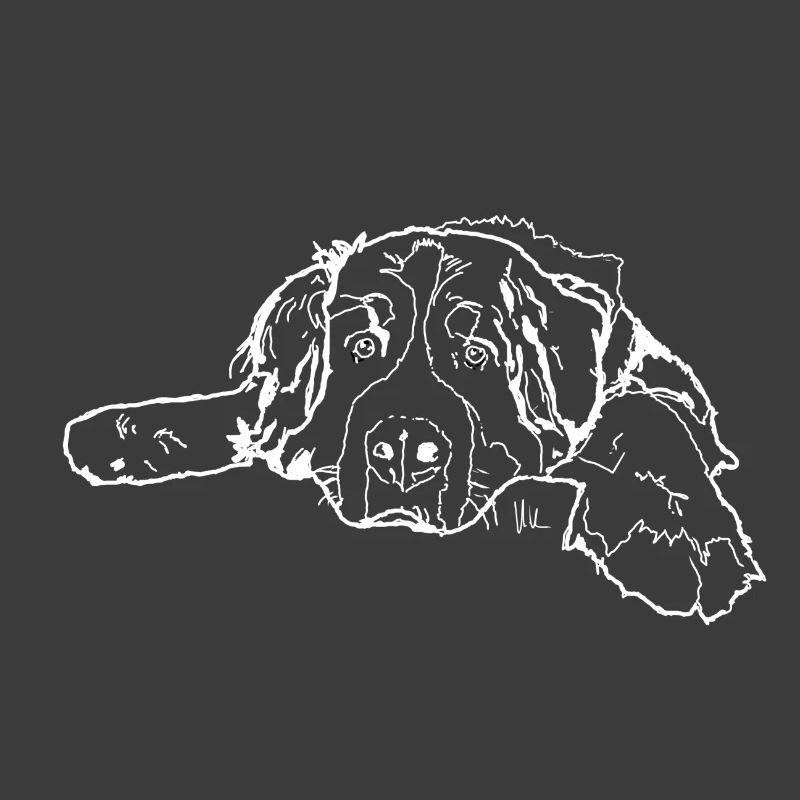 Berner Sennenhund