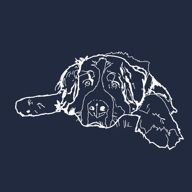 Berner Sennenhund