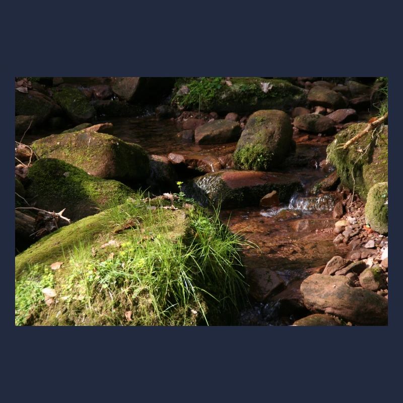 Schwarzwälder Waldbach