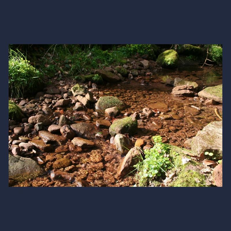 Schwarzwälder Waldbach