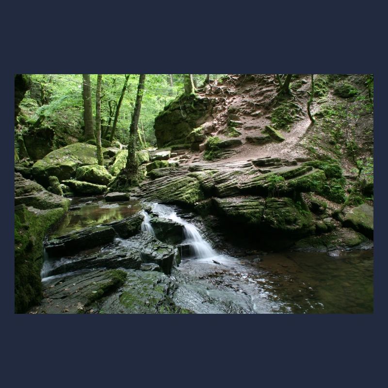 MONBACH IM NORDSCHWARZWALD