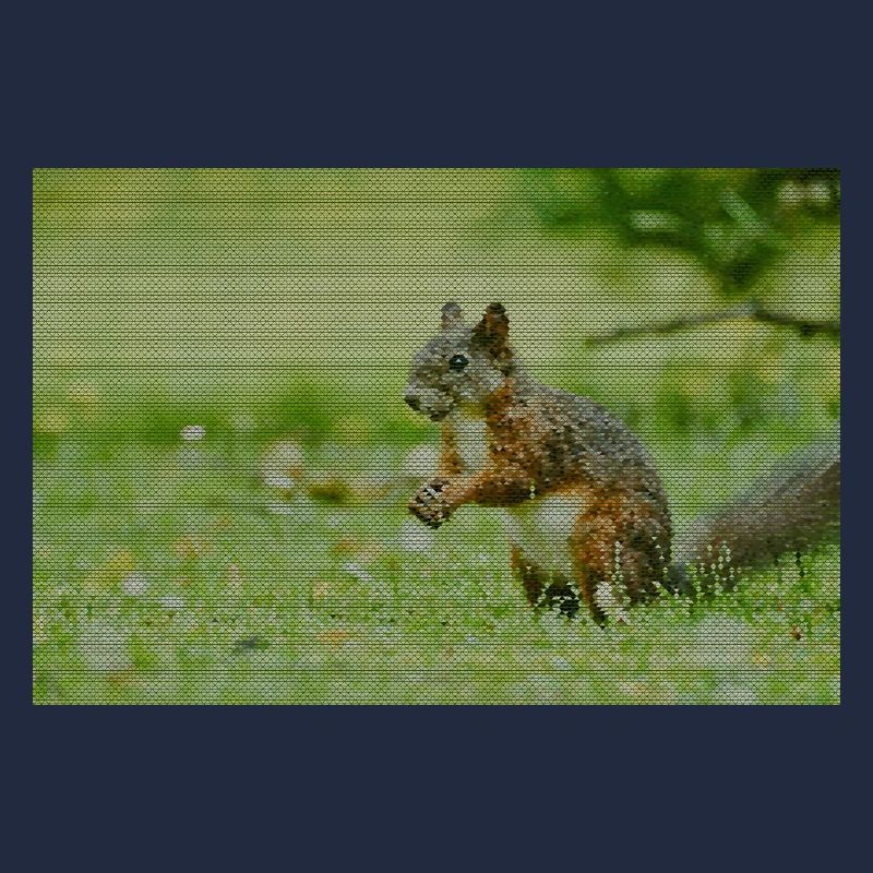 Squirrel Forest Pattern