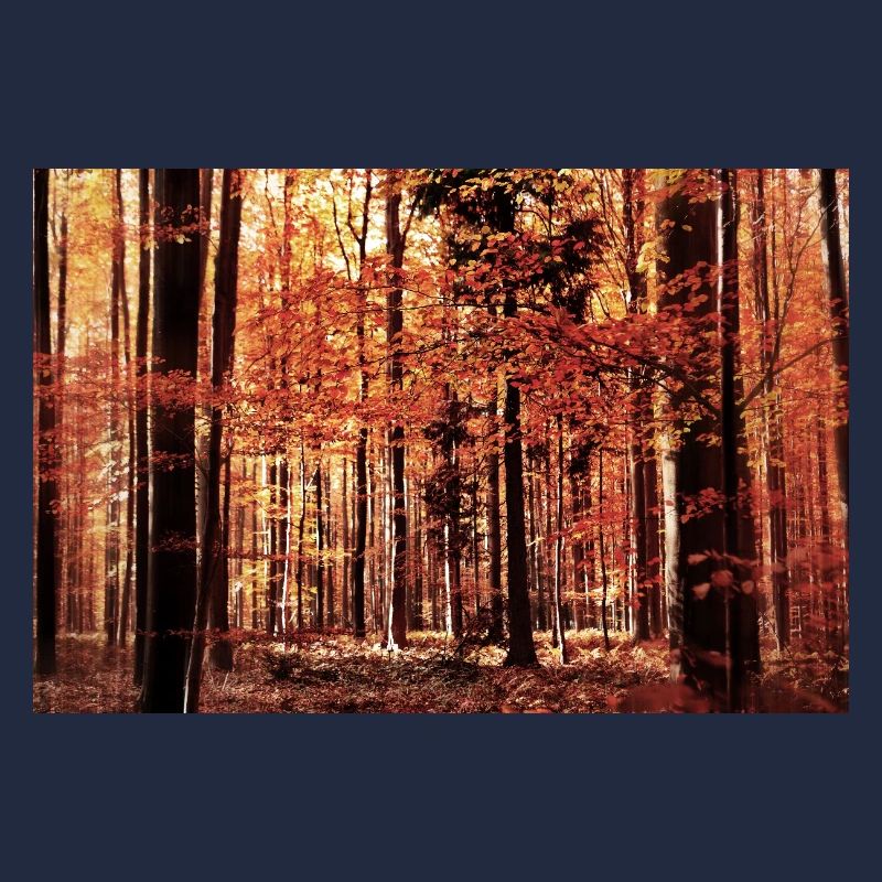 Herbstwald in Rot