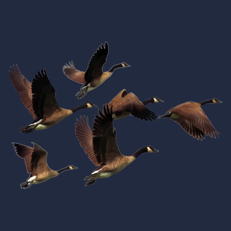Wildgänse