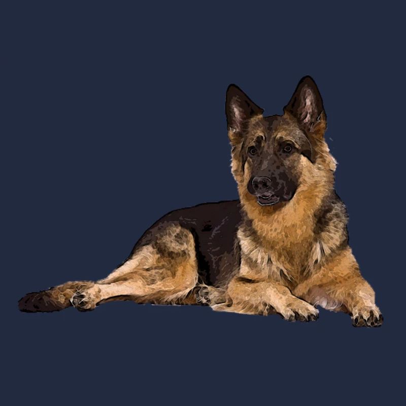 Deutscher Schäferhund