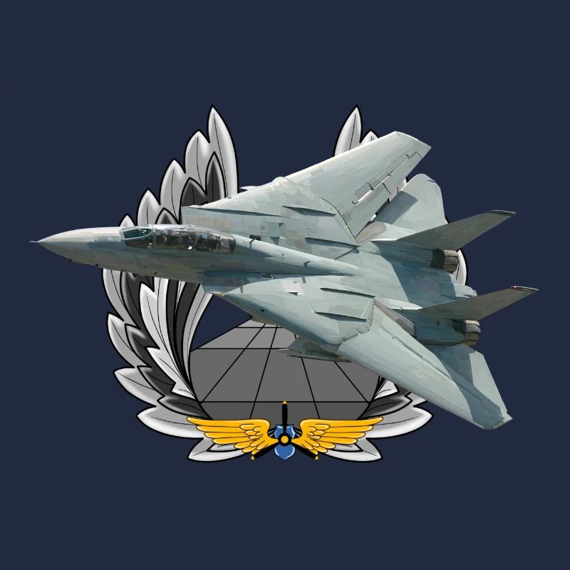 F-14 Tomcat