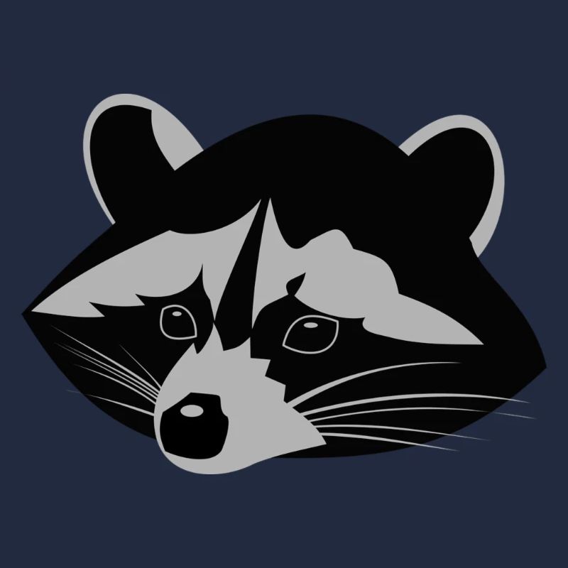 Waschbär ,Racoon