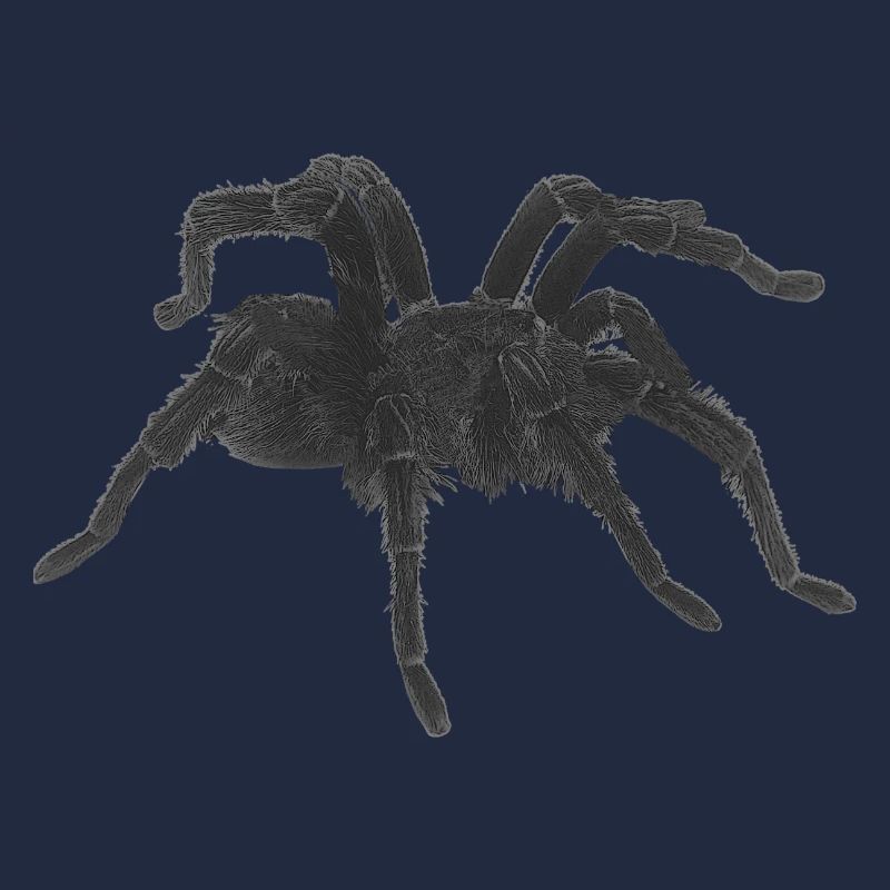 Tarantel design, geburtstagsgeschenk Mann, goth