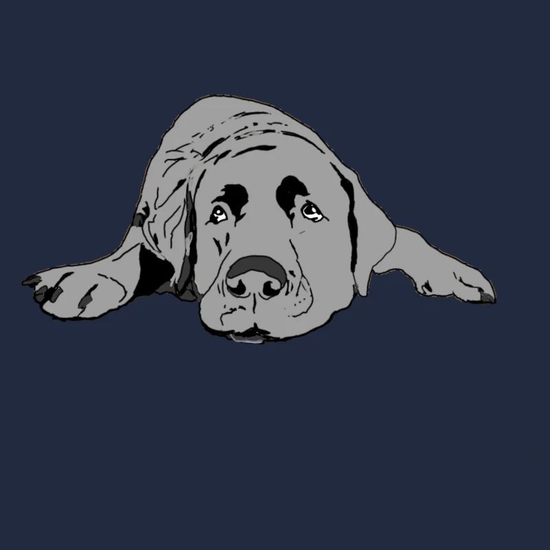 Labrador