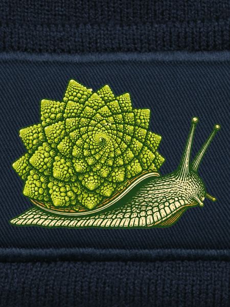 Romanesco-Schnecke
