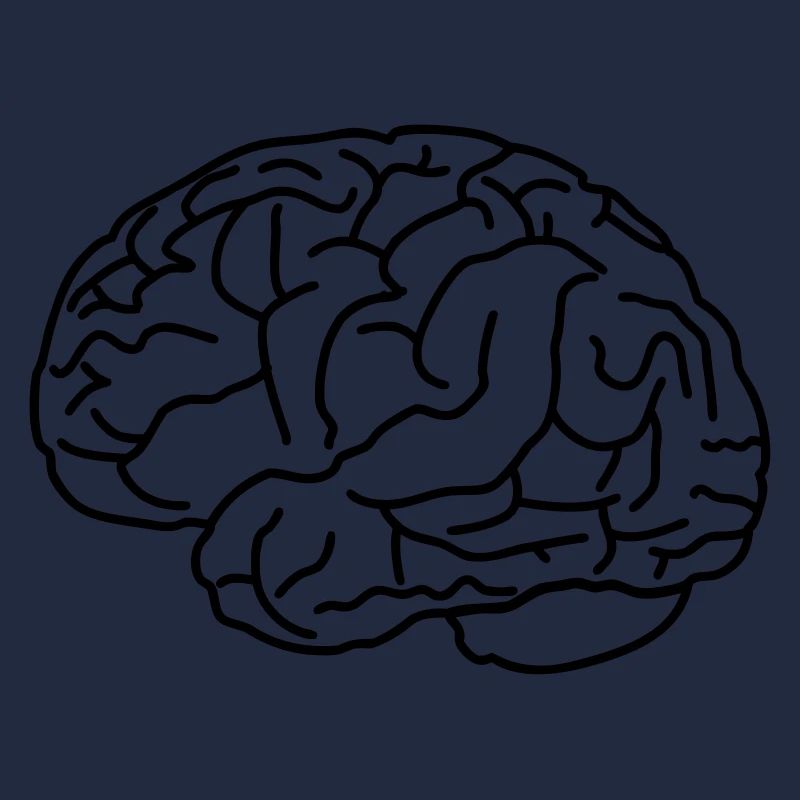 Brain
