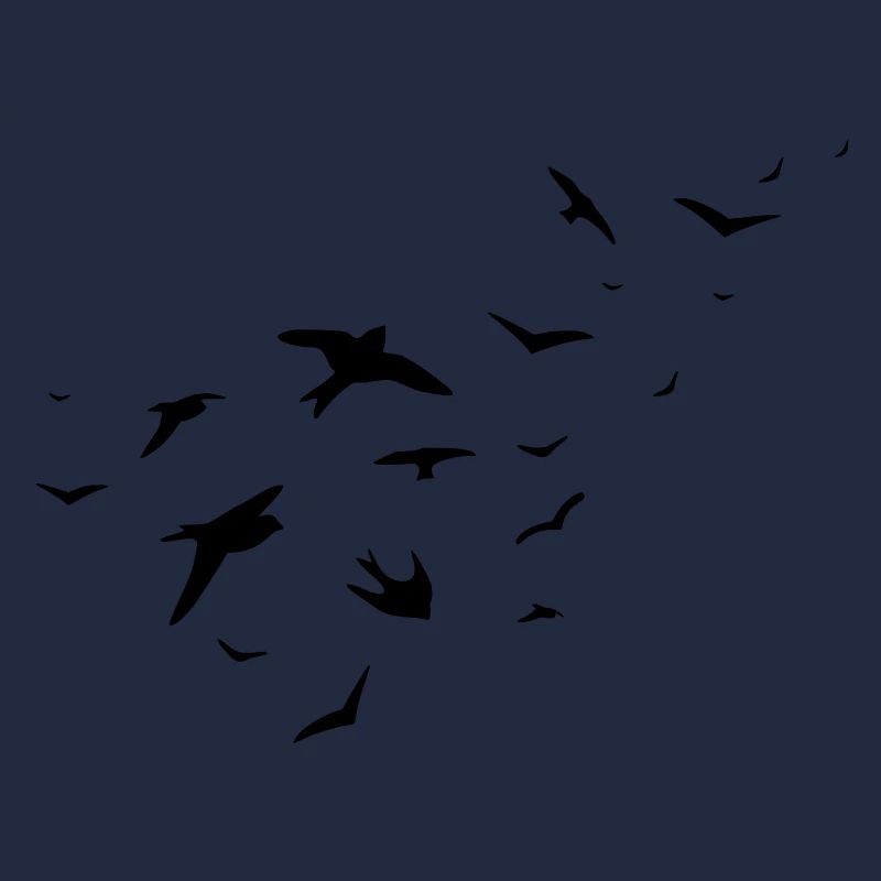 birds
