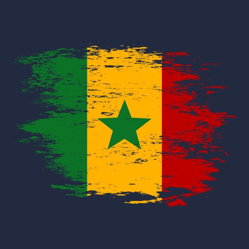 Senegal Flagge used Optik