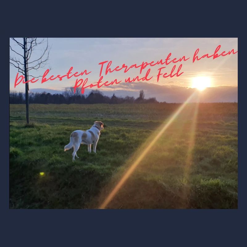 PfotenTherapie am Abendsonne