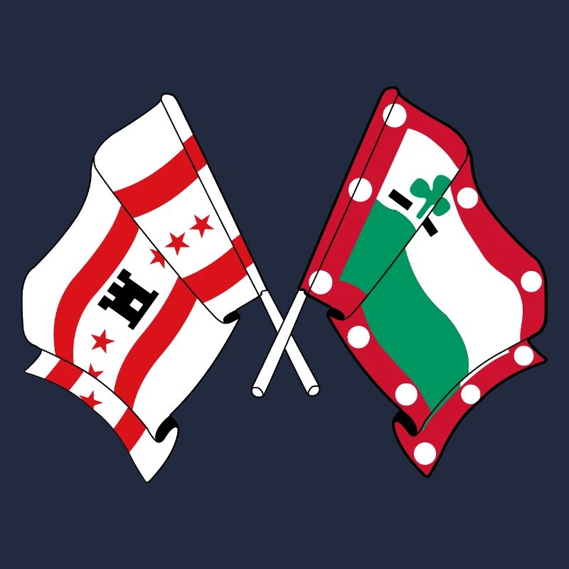 Meppel & Drenthe Flags – Regional Pride