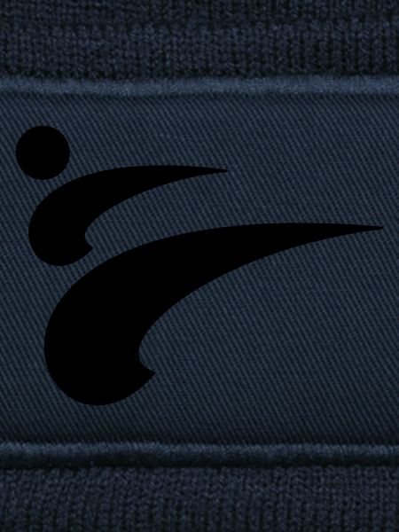 taekwondo kick