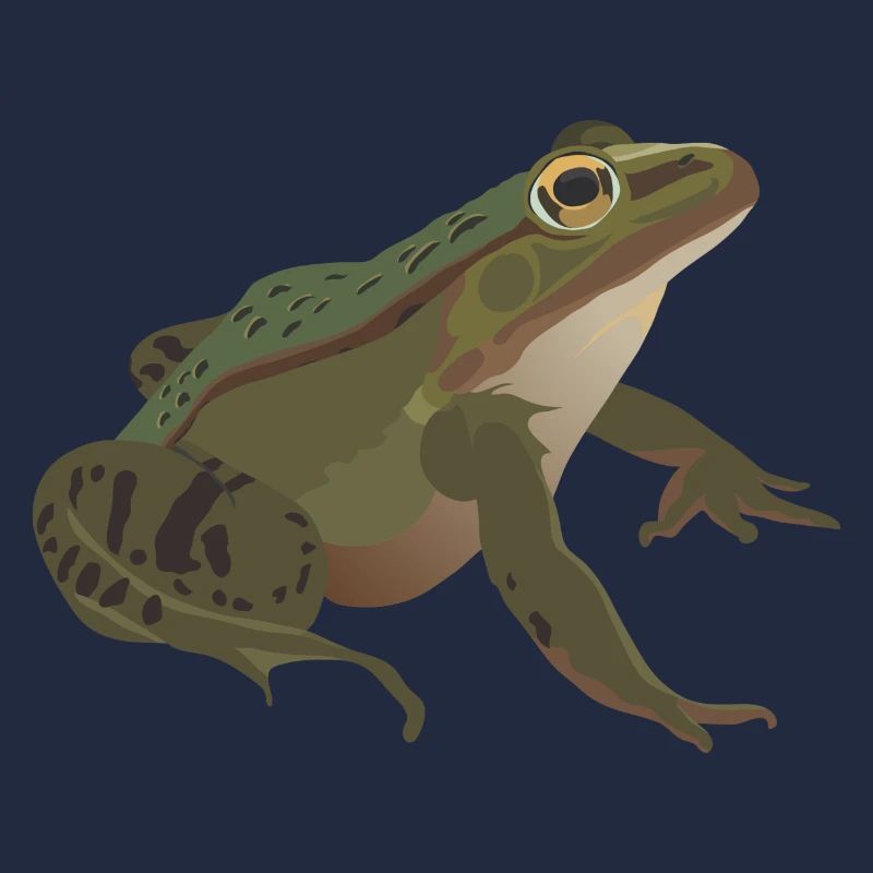 Frog mister frog toad common toad tree frog idea