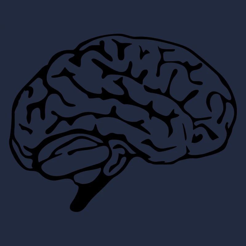 brain design