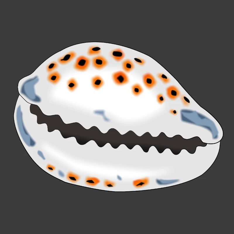 Coquille avec points