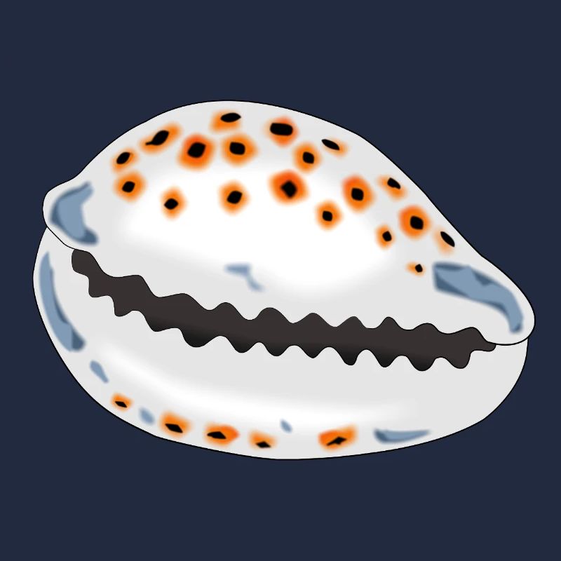 Coquille avec points