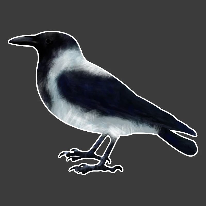 Nebelkrähe.1