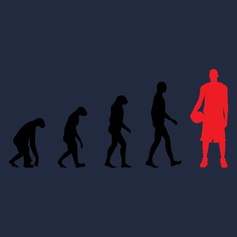 Basket Ball Evolution / Basketball