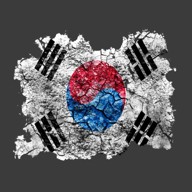 Corée (Sud) Drapeau Vintage