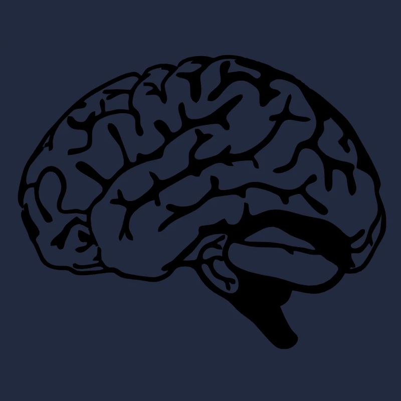 brain