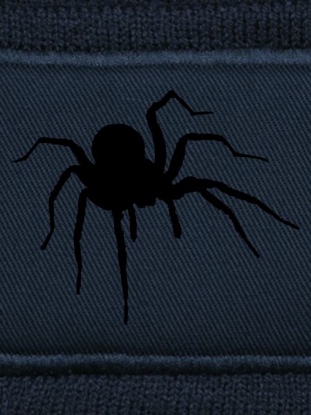The Spider