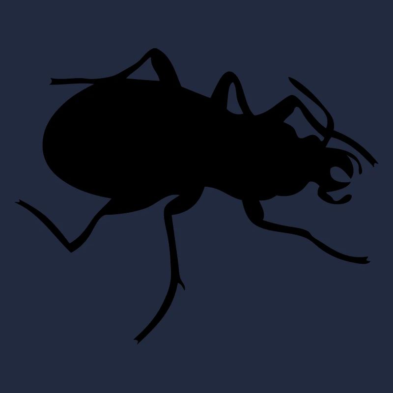 Beetle