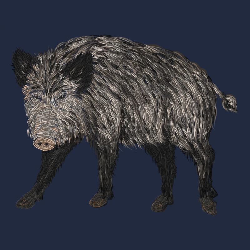 wildschwein jagd
