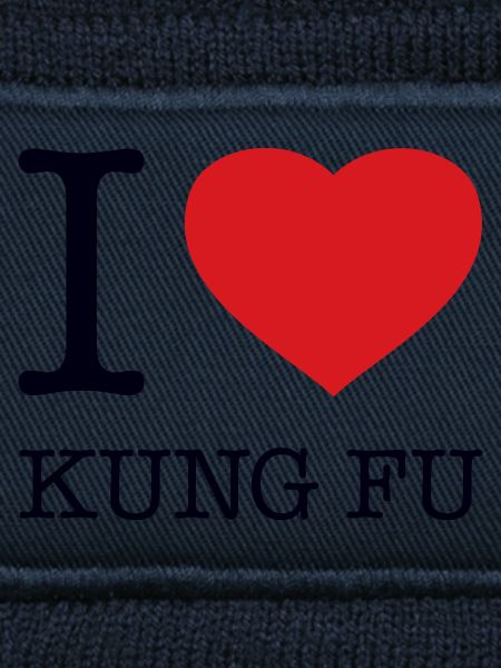 I LOVE KUNG FU