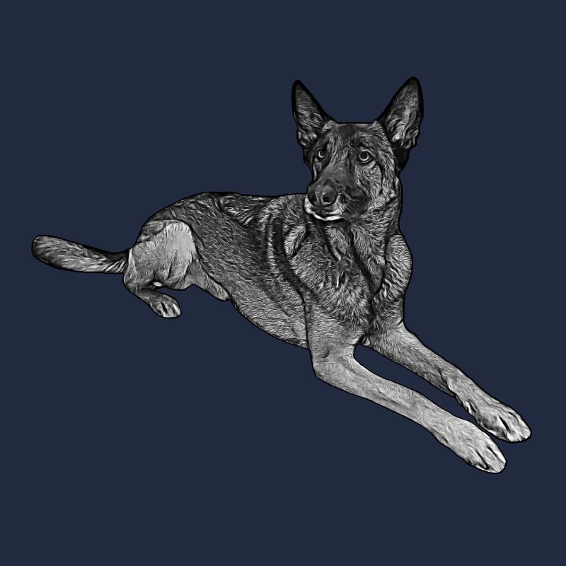Malinois