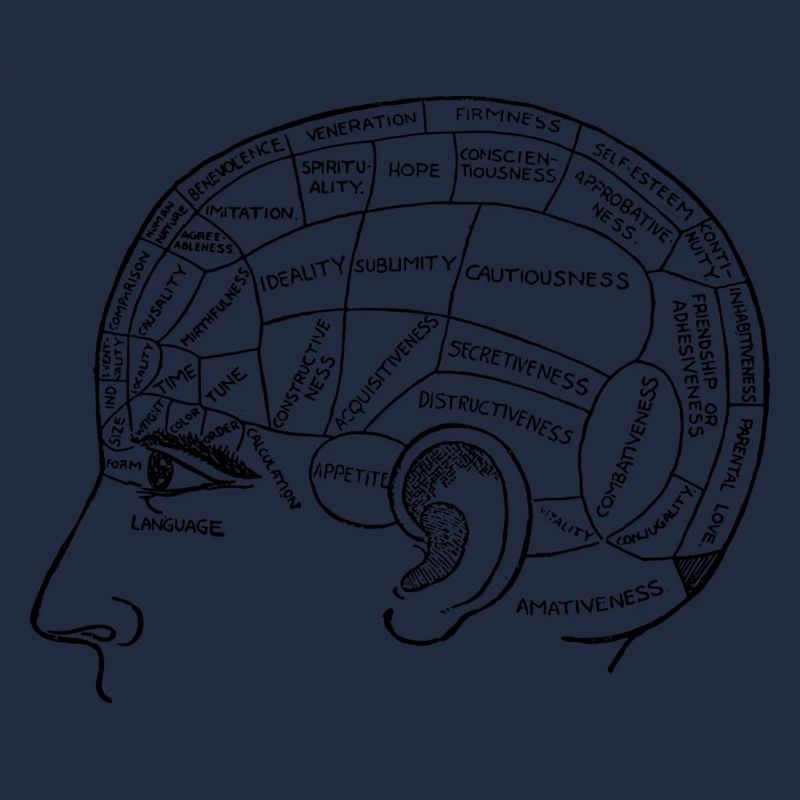 brain