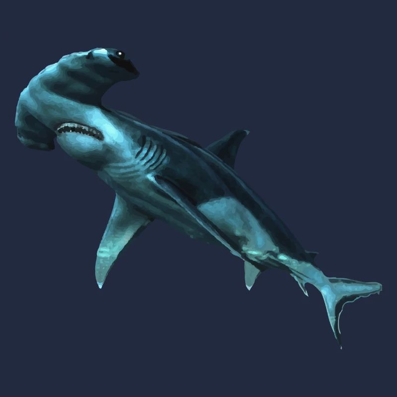 Requin