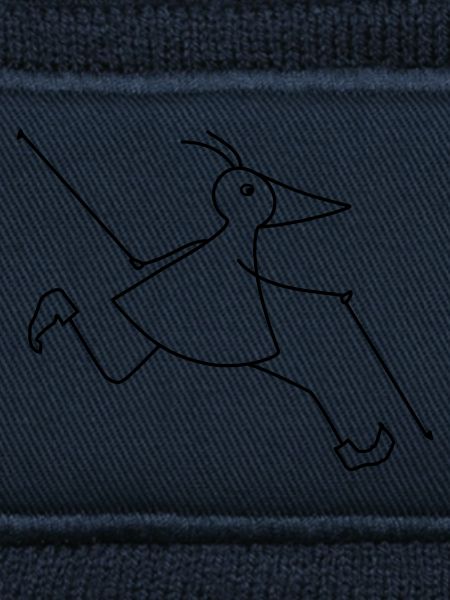 Walker-RUNNY-mit-Stöcken