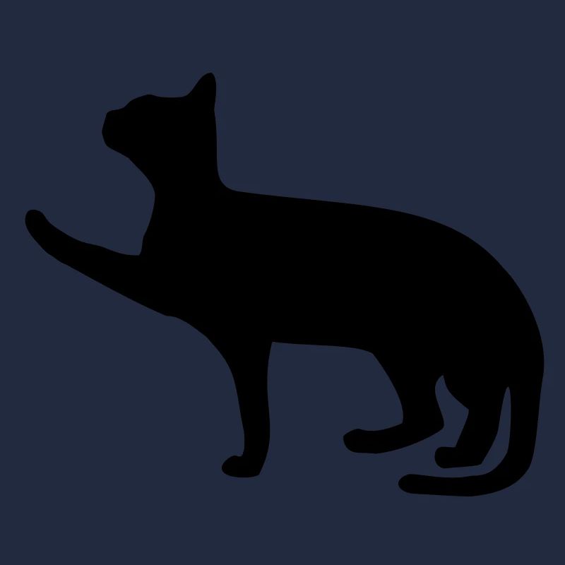 chat